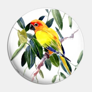 Sun conure Pin