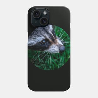 Curious Raccoon Photograph Phone Case