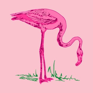 Flamingo T-Shirt