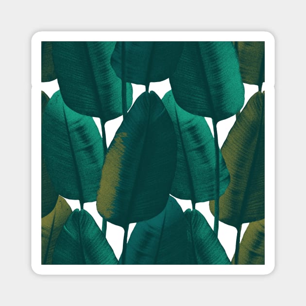 Dark summer tropical textural leaves. Vibrant banana leaves. Night jungle foliage Magnet by likapix