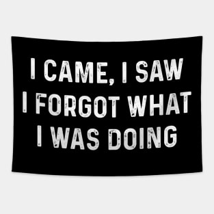 Funny I Came, I Saw I Forgot What I Was Doing Amnesia Tapestry