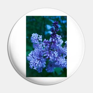 Lilacs Pin