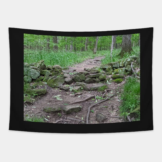 Old Stonewall on a Hiking Trail Photographic Image Tapestry by AustaArt