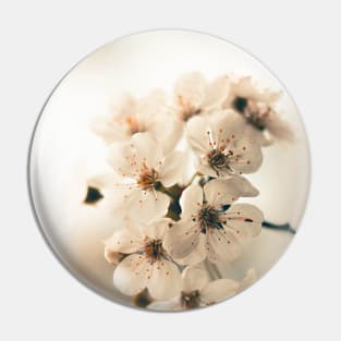 White Cherry Blossom Pin