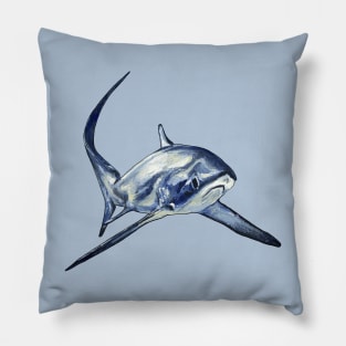 Thresher Sharks Rule Pillow