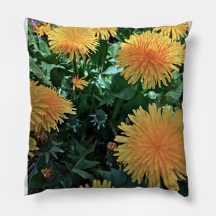 Dandelions - Variation in Lighting - Early Spring Blooms Pillow