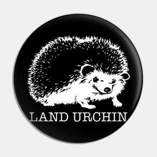 Land Urchin AKA Hedgehog Pin