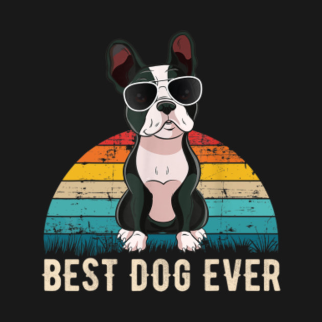 Discover Boston Terrier - Best Dog Ever - Boston Terrier - T-Shirt