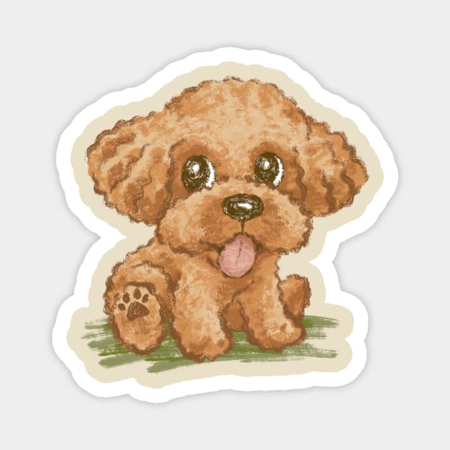 Toy poodle Magnet by sanogawa