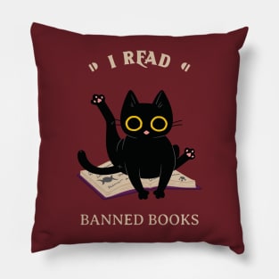 I read banned books Pillow