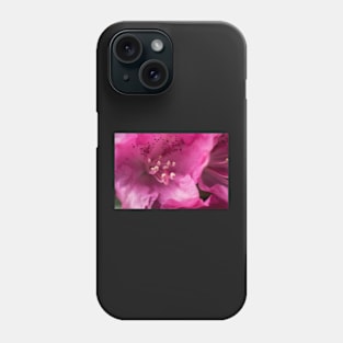 Pink flower close-up Phone Case