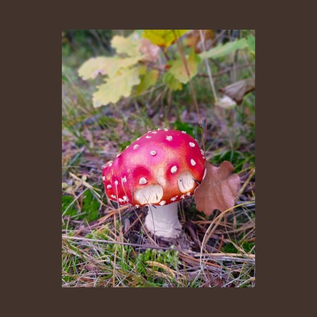 Amanita Muscaria by Kate-P-