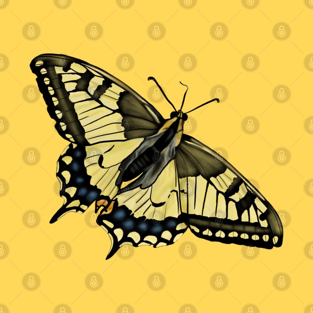 Swallowtail Butterfly Drawing by Eveka