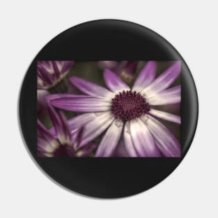 HDR Senetti #2 Pin