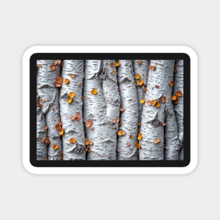 Aspen Tree Trunks - Landscape Magnet