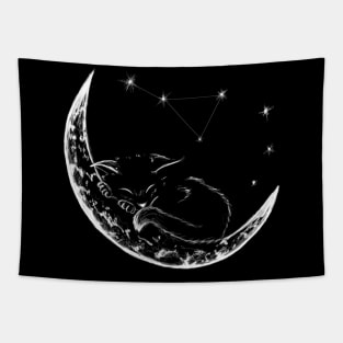 cat sleeps for a month Tapestry