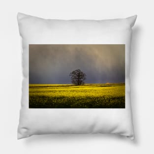 Threatening sky Pillow