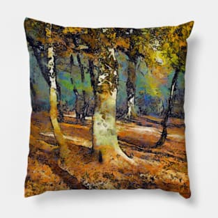 Booker Woods and light spills around the trees. Pillow