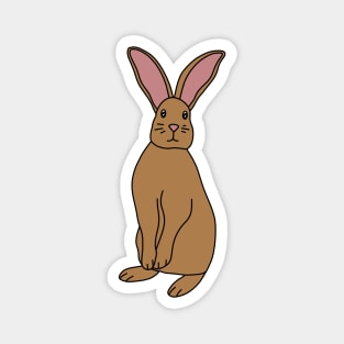 Brown Rabbit Magnet