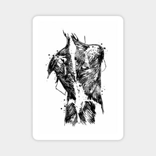 Human Back With Muscles Black and White Anatomy Gift Magnet