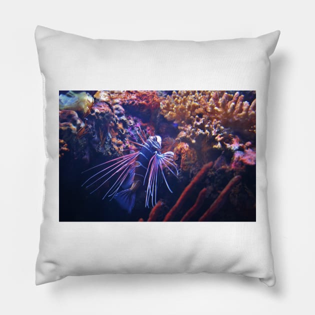 Radiata Lionfish Pillow by Cynthia48