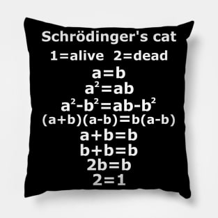 Schrödinger's cat physics geek teacher saying Pillow