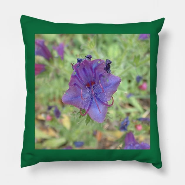 Blue flower Pillow by robelf