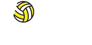 Volleyball ball Magnet