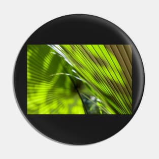 Fan Palms Pin