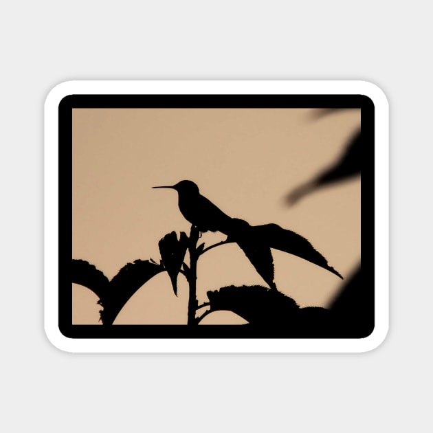 Humming Bird Silhouette Magnet by PandLCreations