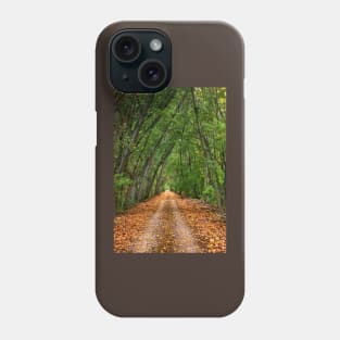 Nestos riverside road - Macedonia, Greece. Phone Case