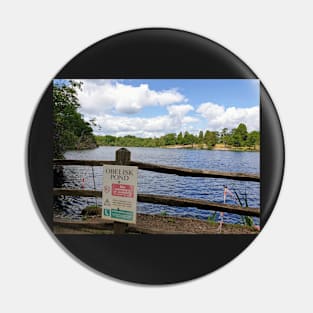 Obelisk pond at Virginia Water Pin