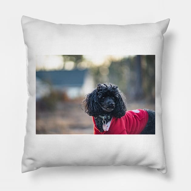 What's that Pillow by KensLensDesigns