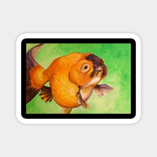 Bobby the Goldfish! Magnet