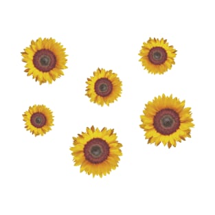 Sunflower Sticker Pack T-Shirt