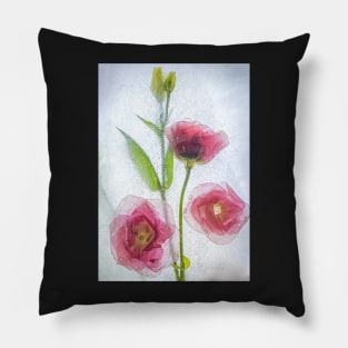 Lisianthus Flowers in Ice Pillow