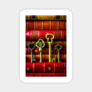 Four Skeleton Keys And Old Books Magnet