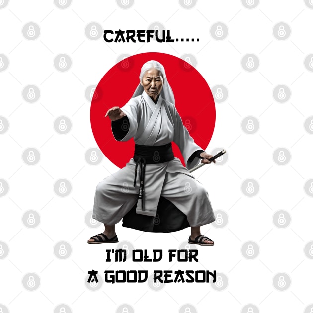 Careful, I'm Old For A Good Reason by ArtShare