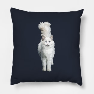 Ragdoll Cat Model Pillow