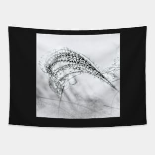 Ornamental Grass Black And White photograph Tapestry