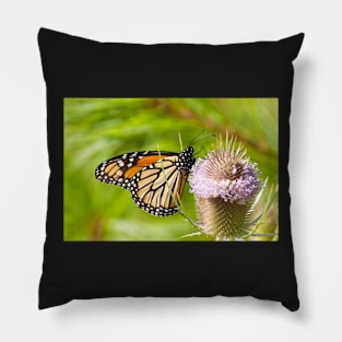 Sipping On A Thistle Pillow