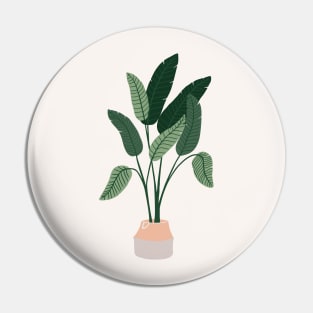 Boho Minimalist potter plants Pin