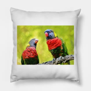 Two Rainbow Lories Pillow