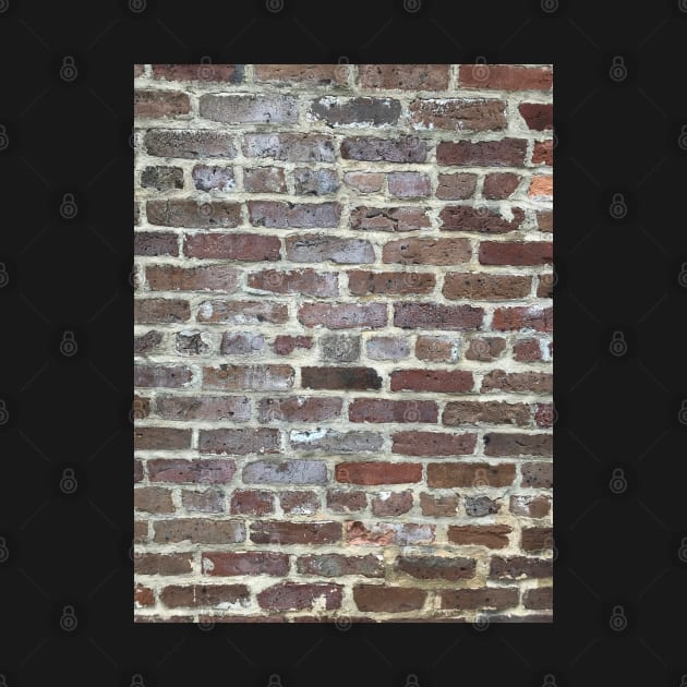 Brick Wall, Charleston, South Carolina by djrunnels