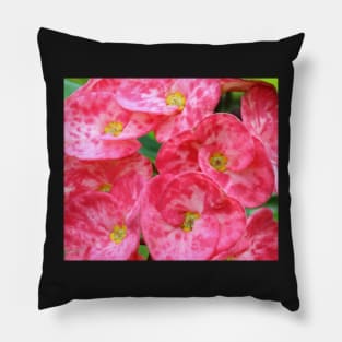 Tropical Flowers Pillow