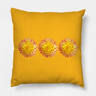 Three Yellow and Pink Spiky Flowers Floral Photo Pillow