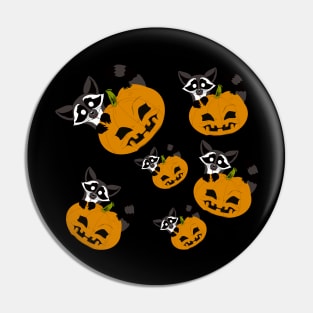 Pumpkin racoon Pin