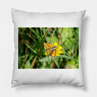 42914 orange butterfly Pillow