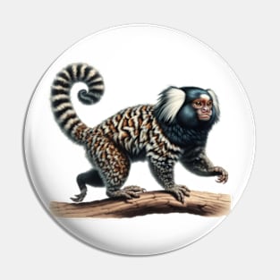 Marmoset (Callithrix) biological illustration lithography Pin