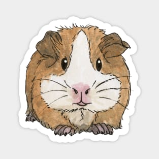 Tan guinea pig Magnet